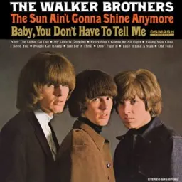 The Walker Brothers - The Sun Ain't Gonna Shine Anymore