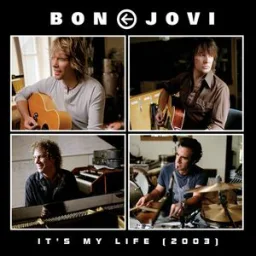 Bon Jovi - It's My Life