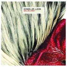 Kings of Leon - Sex on Fire