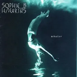 Sophie B. Hawkins - Right Beside You