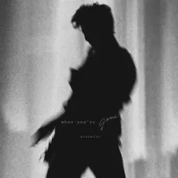 Shawn Mendes - When You're Gone - Acoustic