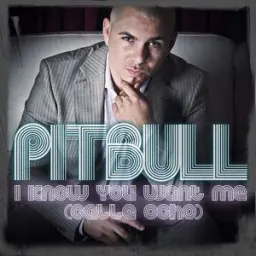 Pitbull - I Know You Want Me (Calle Ocho) - Radio Edit
