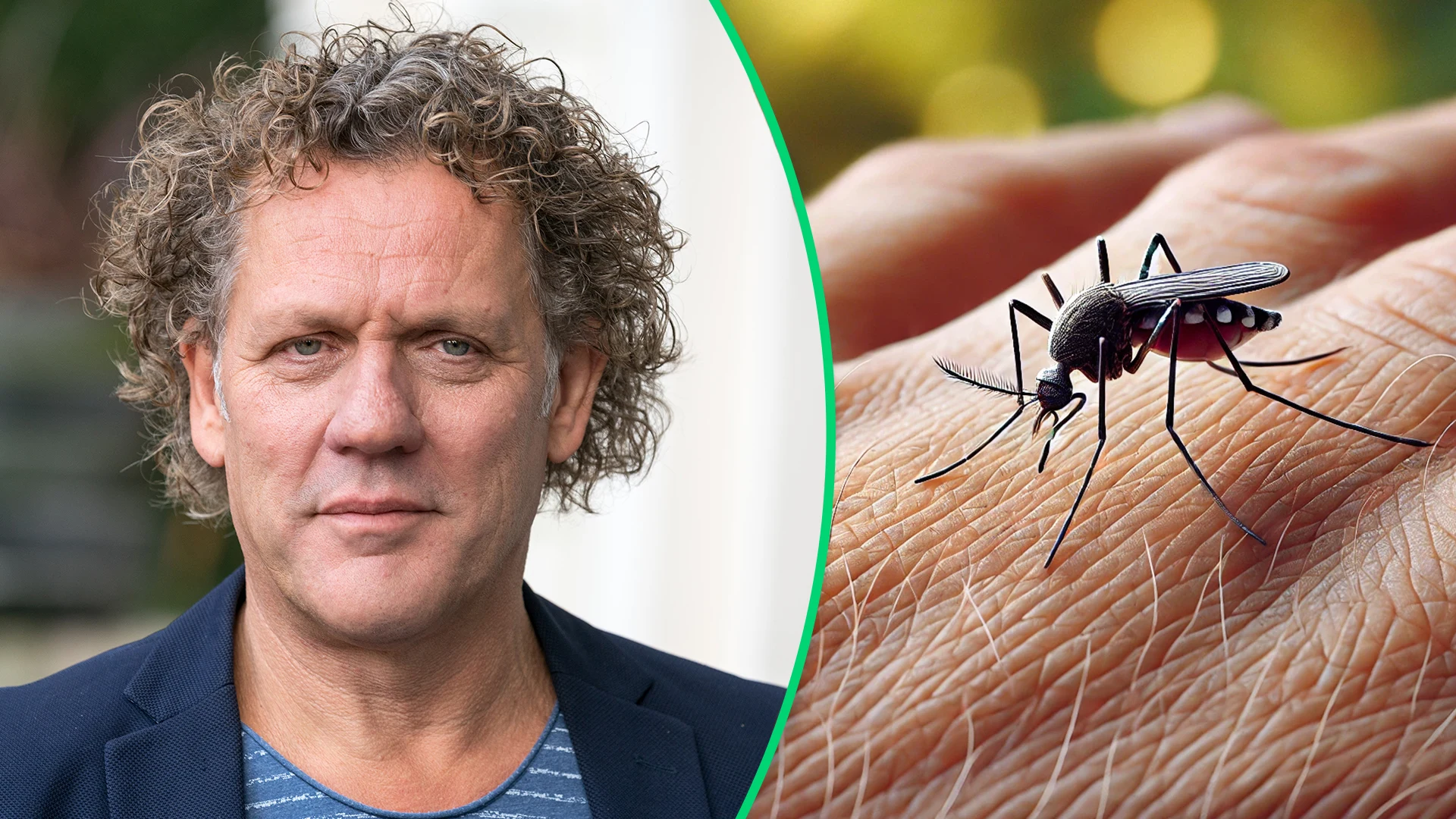 Tijgermug rukt op in Nederland: Kees van der Spek prikt door paniek heen