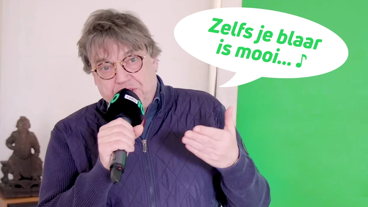 Deze nummers vatten de Nijmeegse Vierdaagse perfect samen!