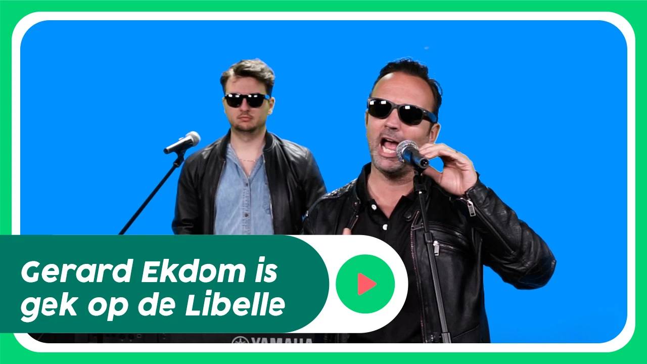 Zo veel liefde heeft Gerard Ekdom voor de Libelle