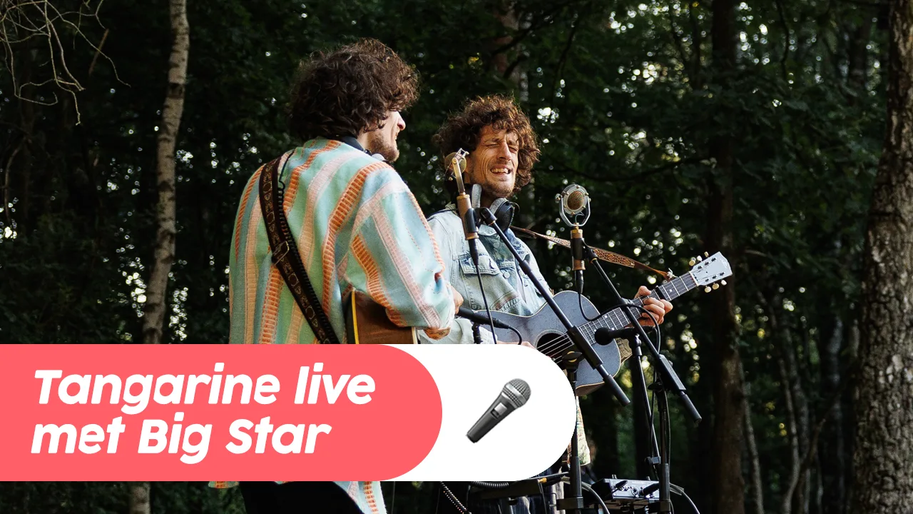 Tangaringe - Big Star live @ Ekdom in de Morgen