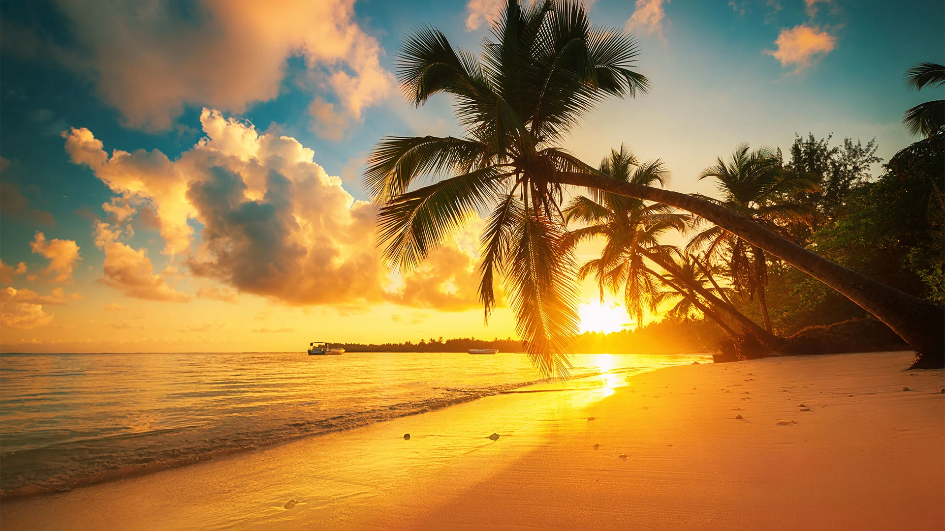 Win een reis naar jouw favoriete zonbestemming tijdens de Radio 10 Sunny Days