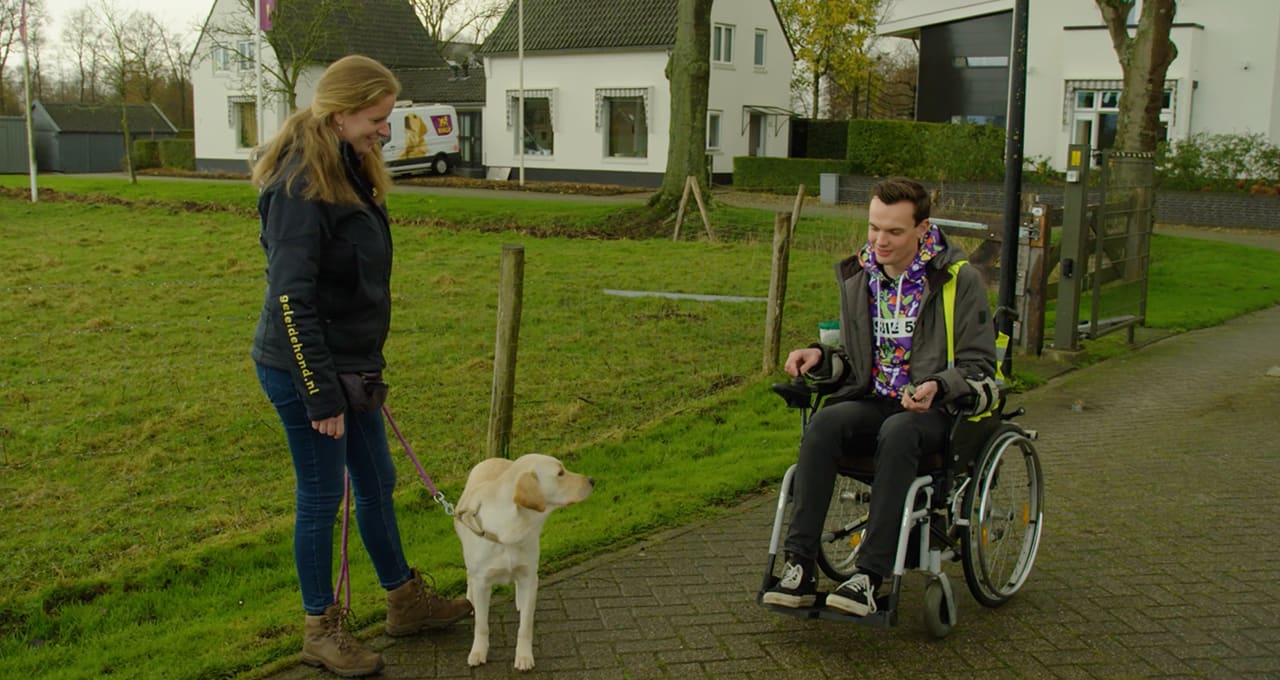 Missie geslaagd: opleidingshuis voor het trainen van blindengeleidehonden