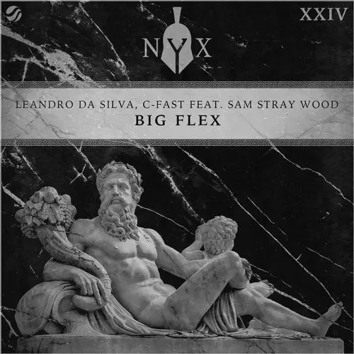 Big Flex van Leandro Da Silva ft. C-Fest & Sam Stray Wood is de nieuwe Dance Smash