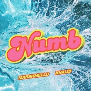 GEKRAAKT: MARSHMELLO & KHALID - NUMB