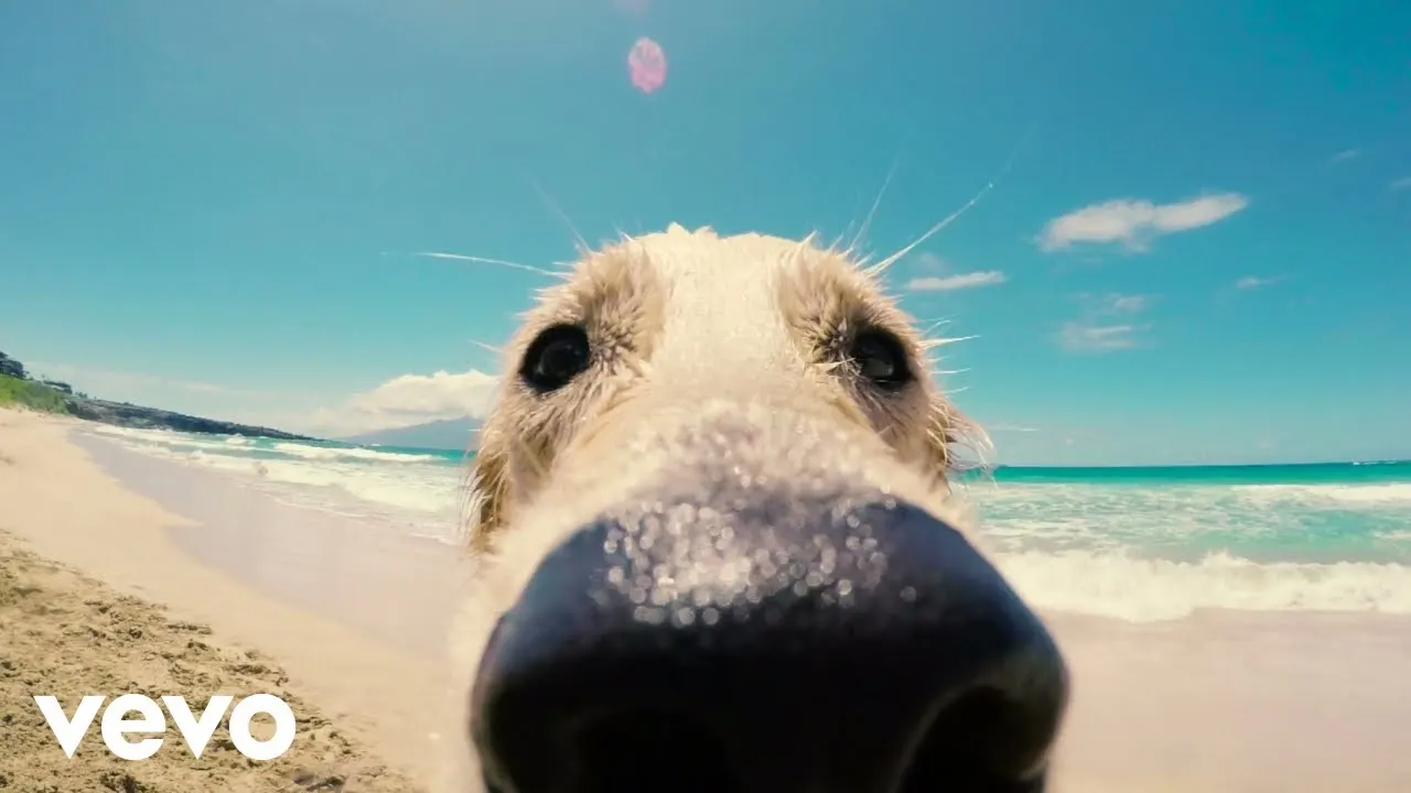 02.09.2023 Dillon Francis, Alesso, Clementine Douglas – Free