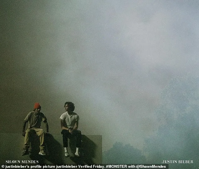 GEMAAKT: Shawn Mendes & Justin Bieber - Monster