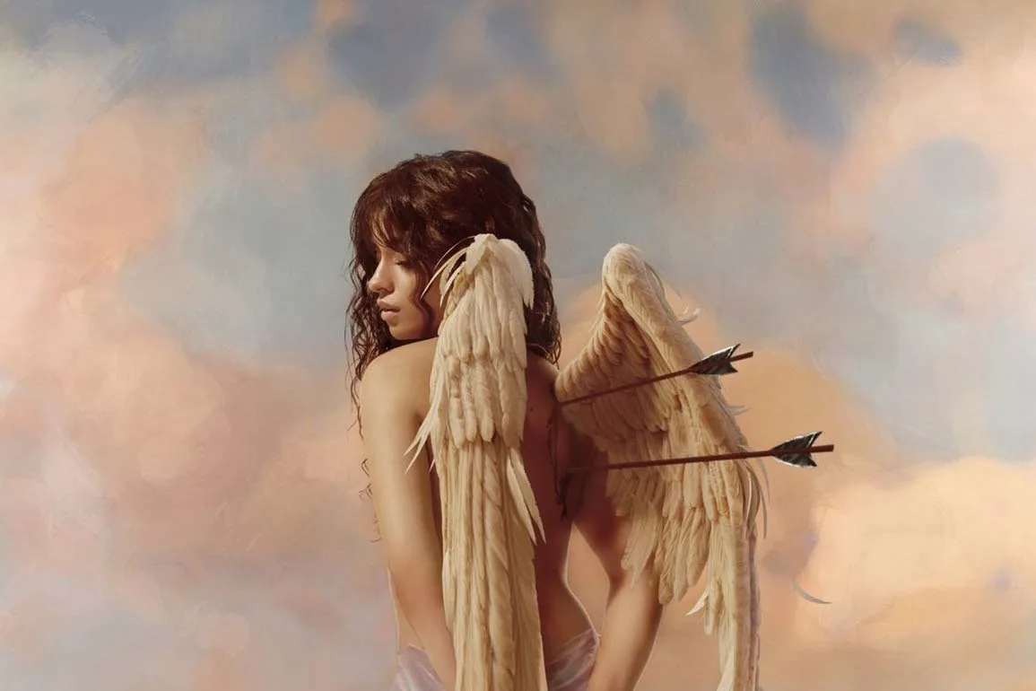 GEMAAKT:  Camila Cabello - Liar