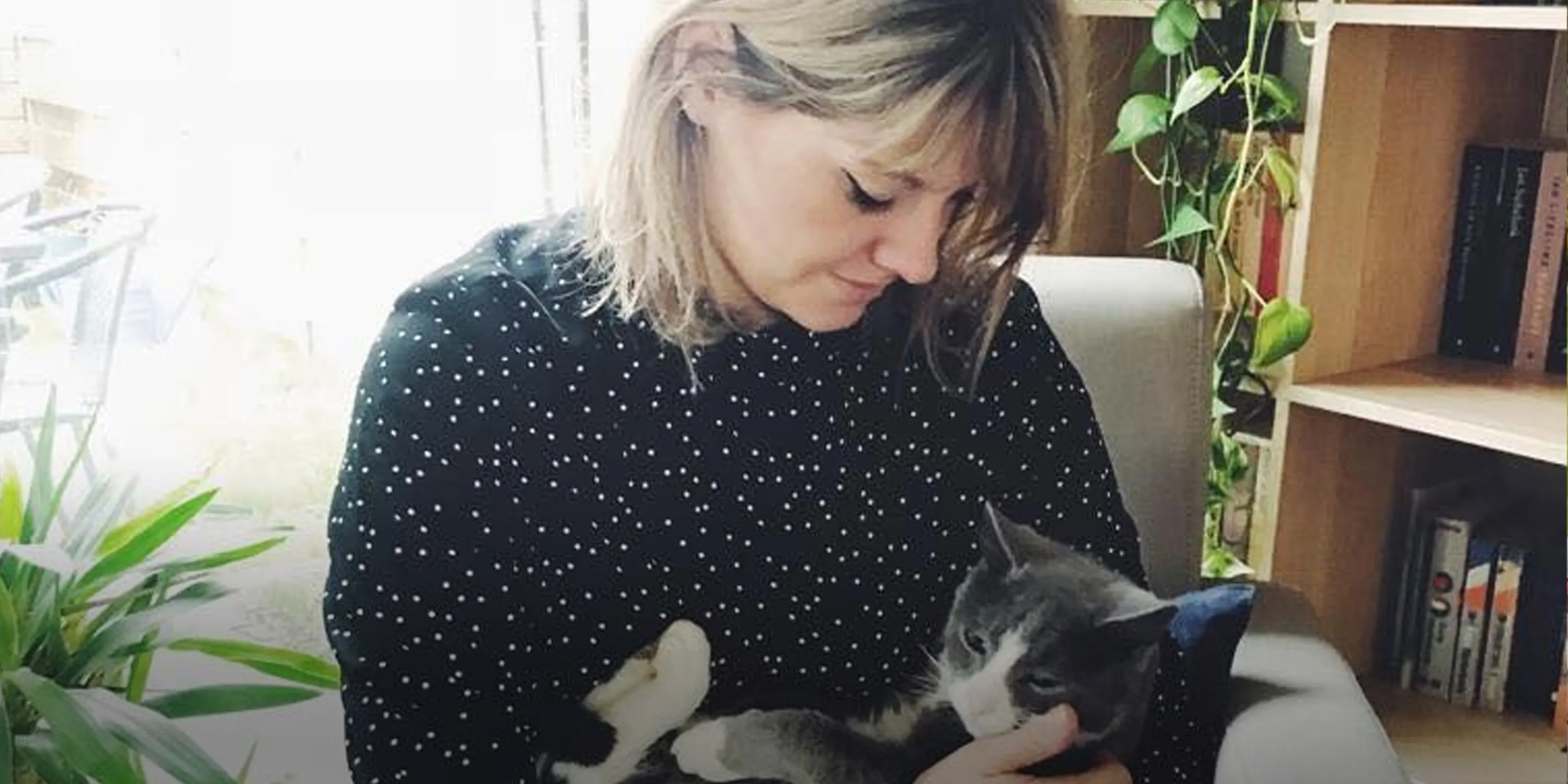 Vermiste Friese kat opgedoken op Texel