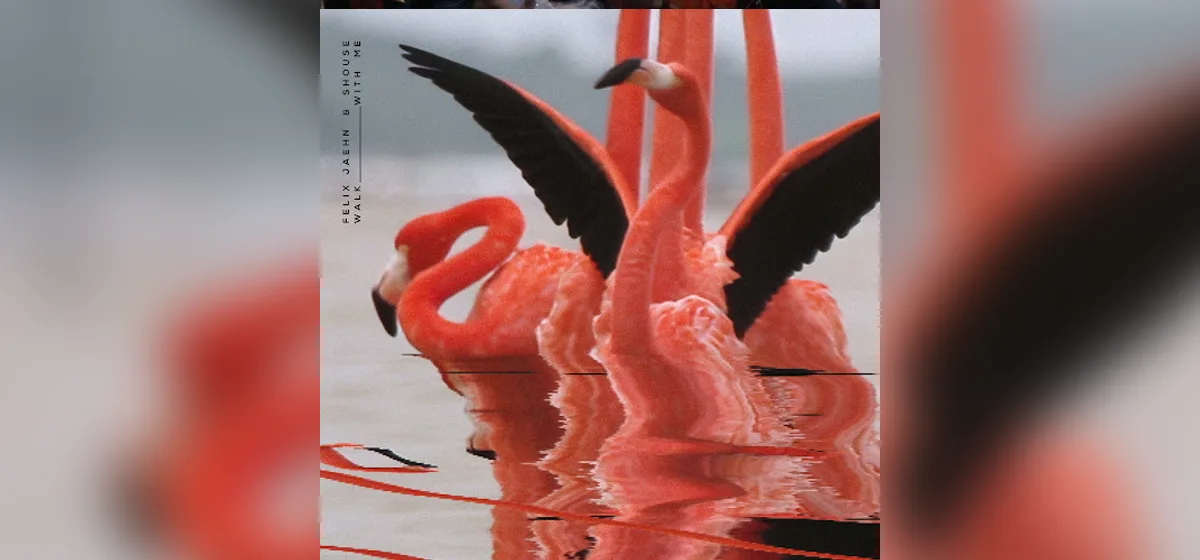 GEMAAKT: Felix Jaehn en Shouse - Walk With Me