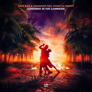 GEMAAKT: DAVE MAK & SHEMENZO FT. PHANY & CHEMPY - LLORANDO SE FUE (LAMBADA) 