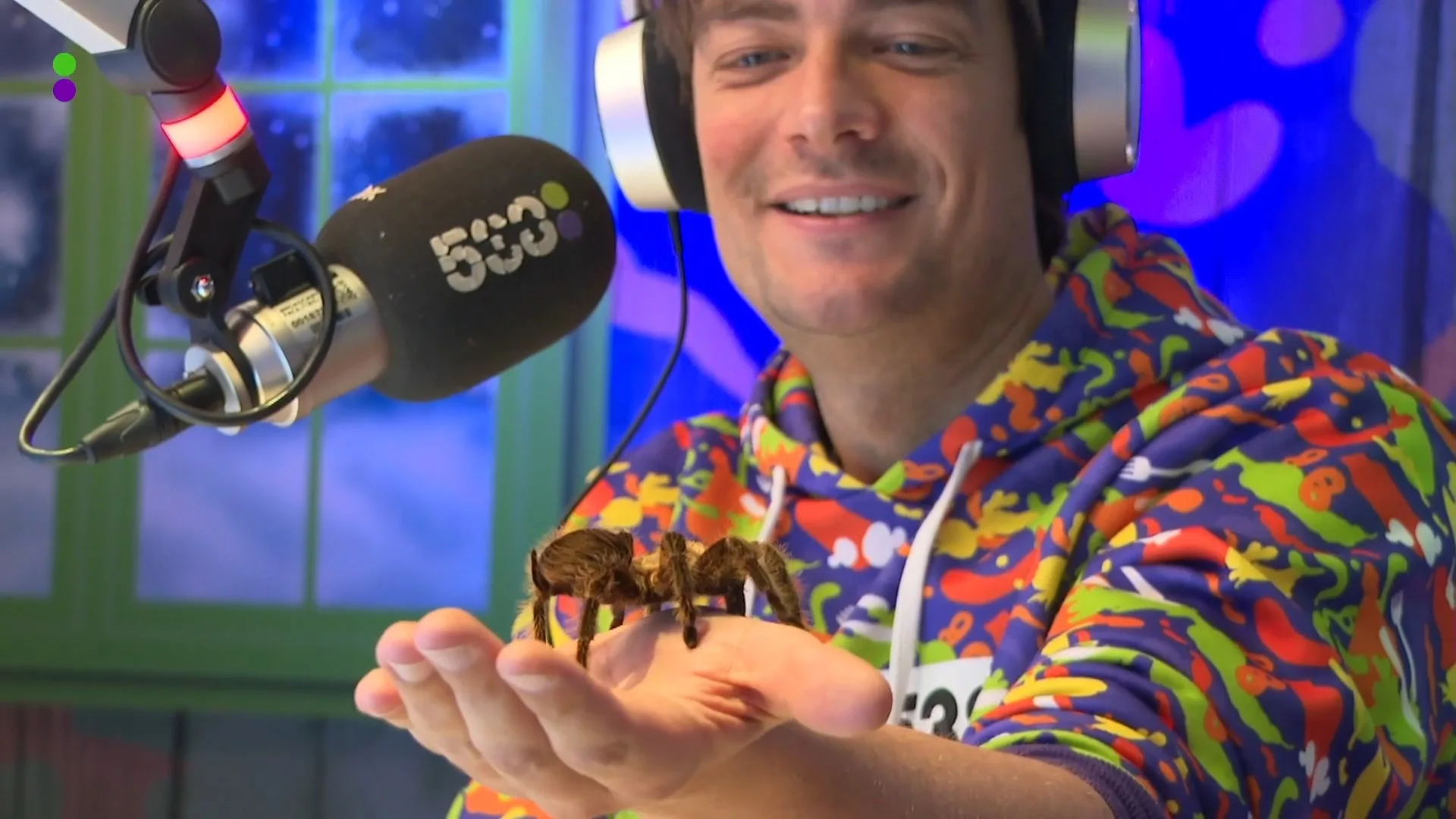 Frank heeft een vogelspin op zijn arm!