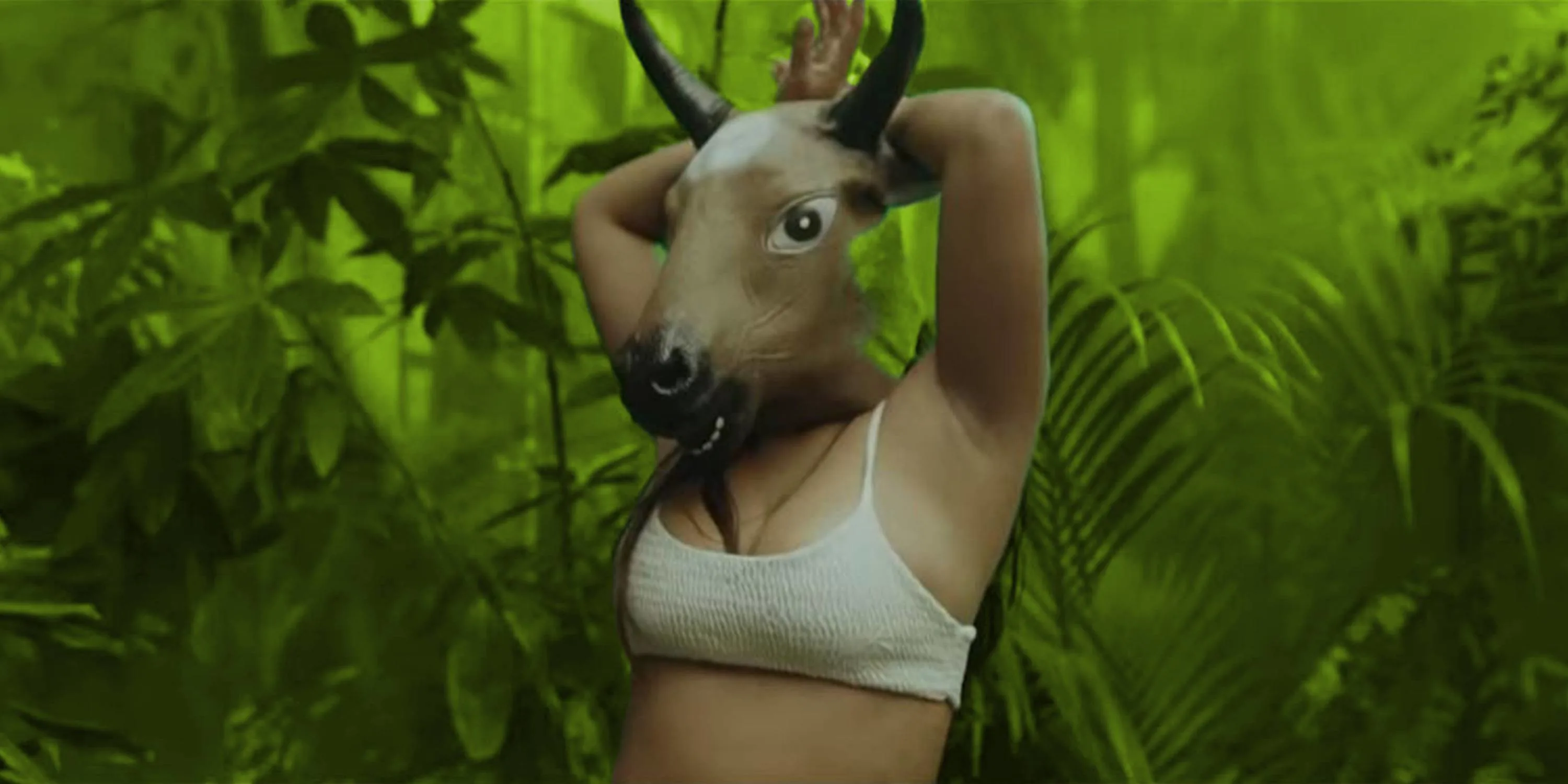 Deze Nederlandse track gaat wereldwijd viral!