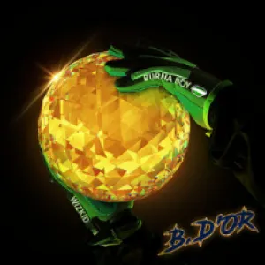 GEMAAKT: BURNA BOY FT. WIZKID - B. D'OR