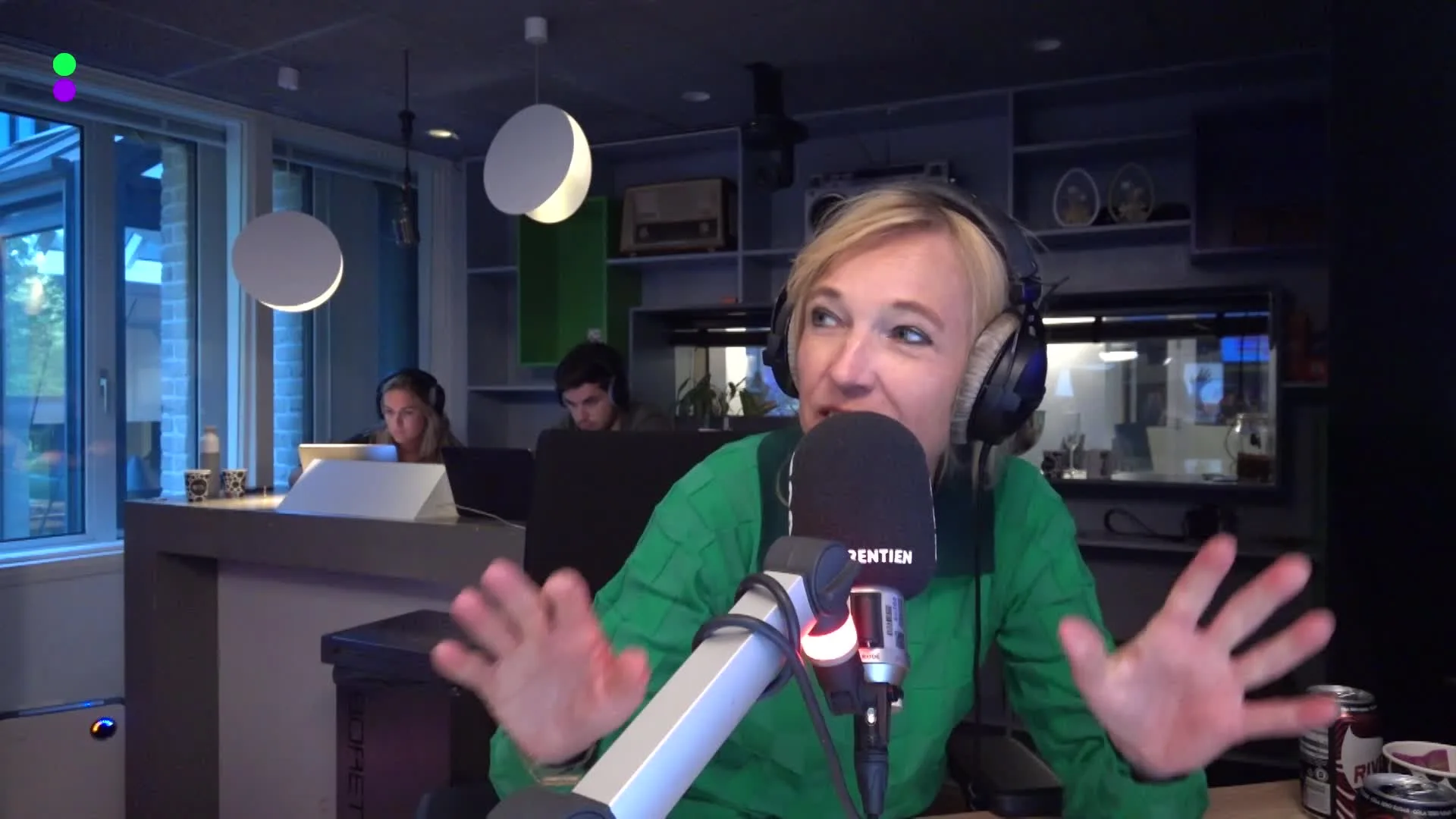 De vier soorten vaatwasserinruimers