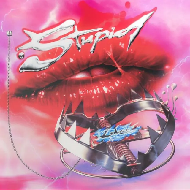 GEMAAKT: Lady Gaga - Stupid Love