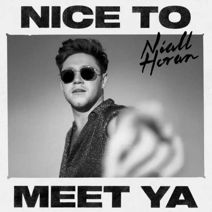 GEMAAKT: Niall Horan - Nice to Meet Ya