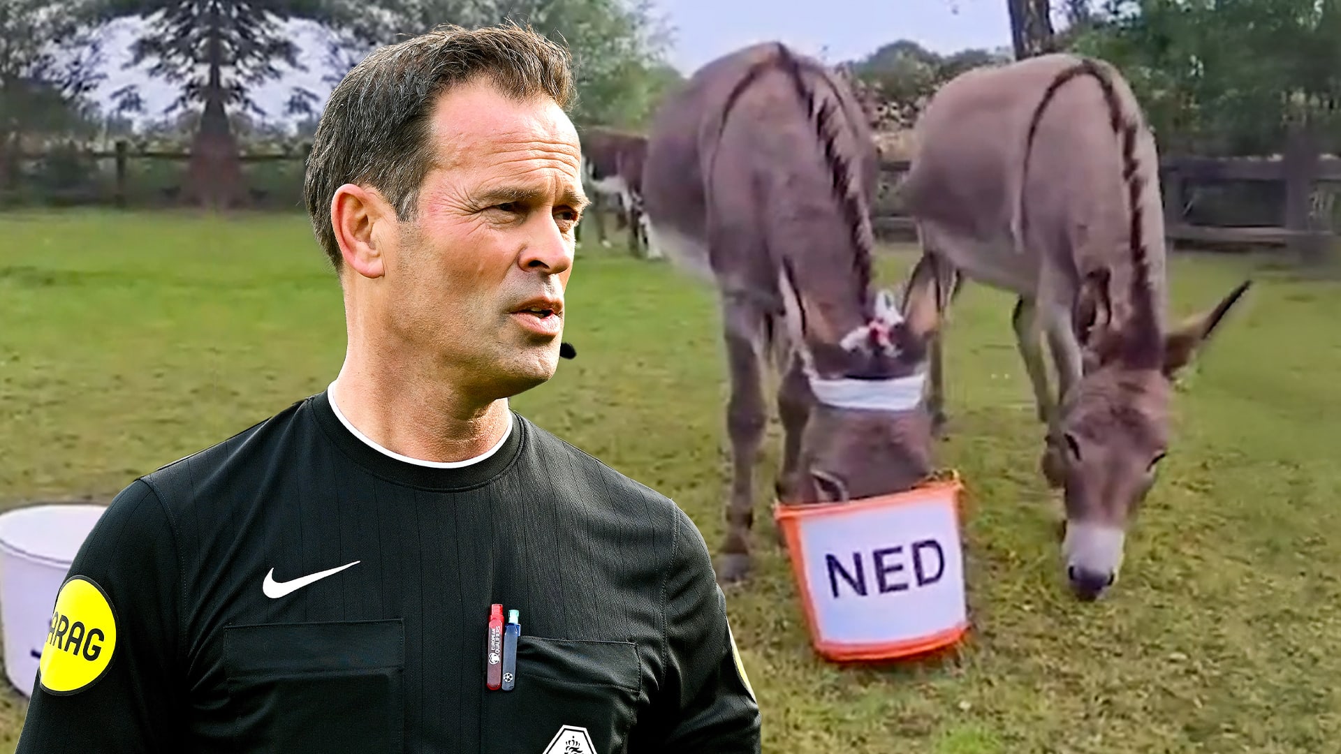 De ezels van Bas Nijhuis