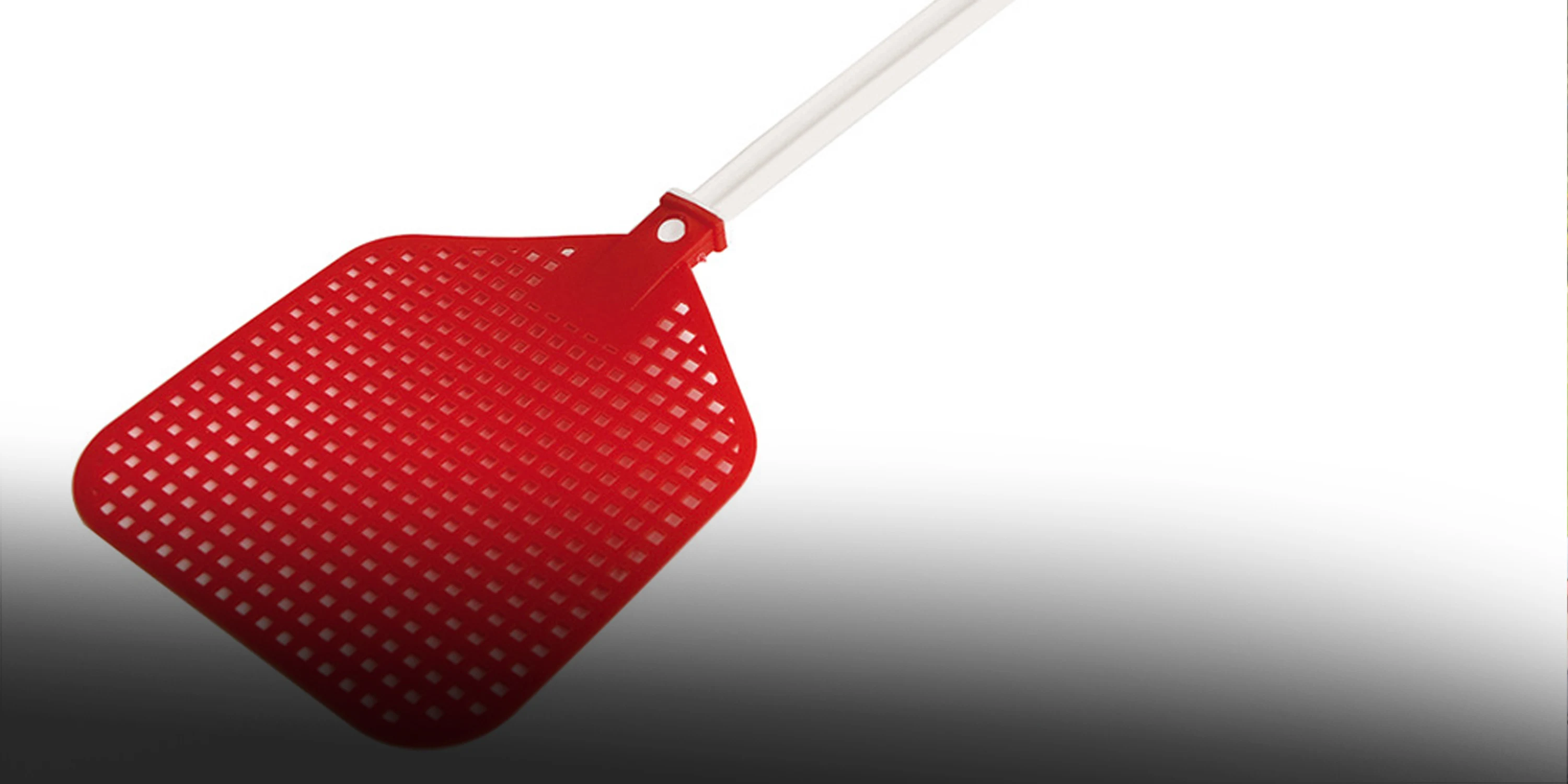 Iza heeft duizenden vliegenmeppers verzameld