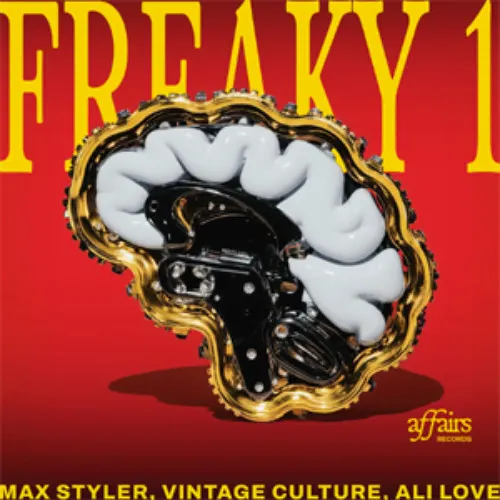 11.04.2026 - Max Styler, Vintage Culture, Ali Love – Freaky 1