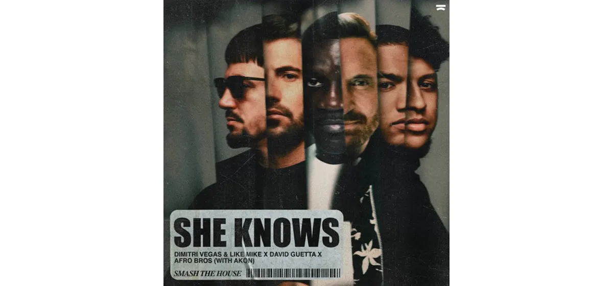 Gemaakt: Dimitri Vegas & Like Mike, David Guetta, Afro Bros (with Akon) - She Knows 