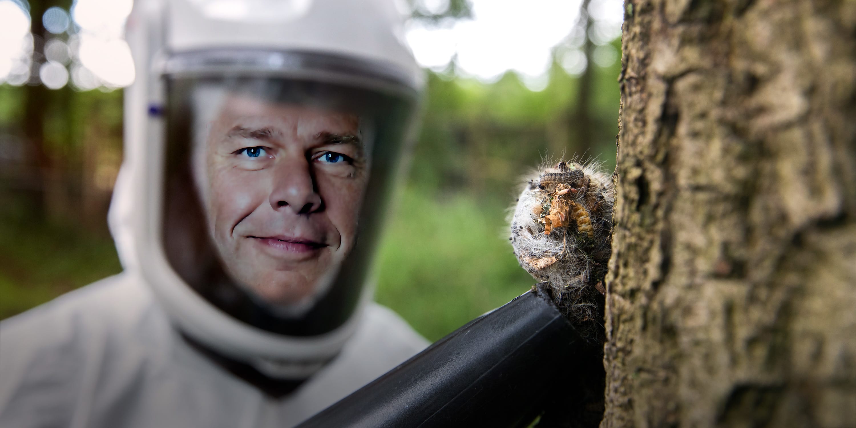 Het grote Eikenprocessierupsjournaal met Henk!