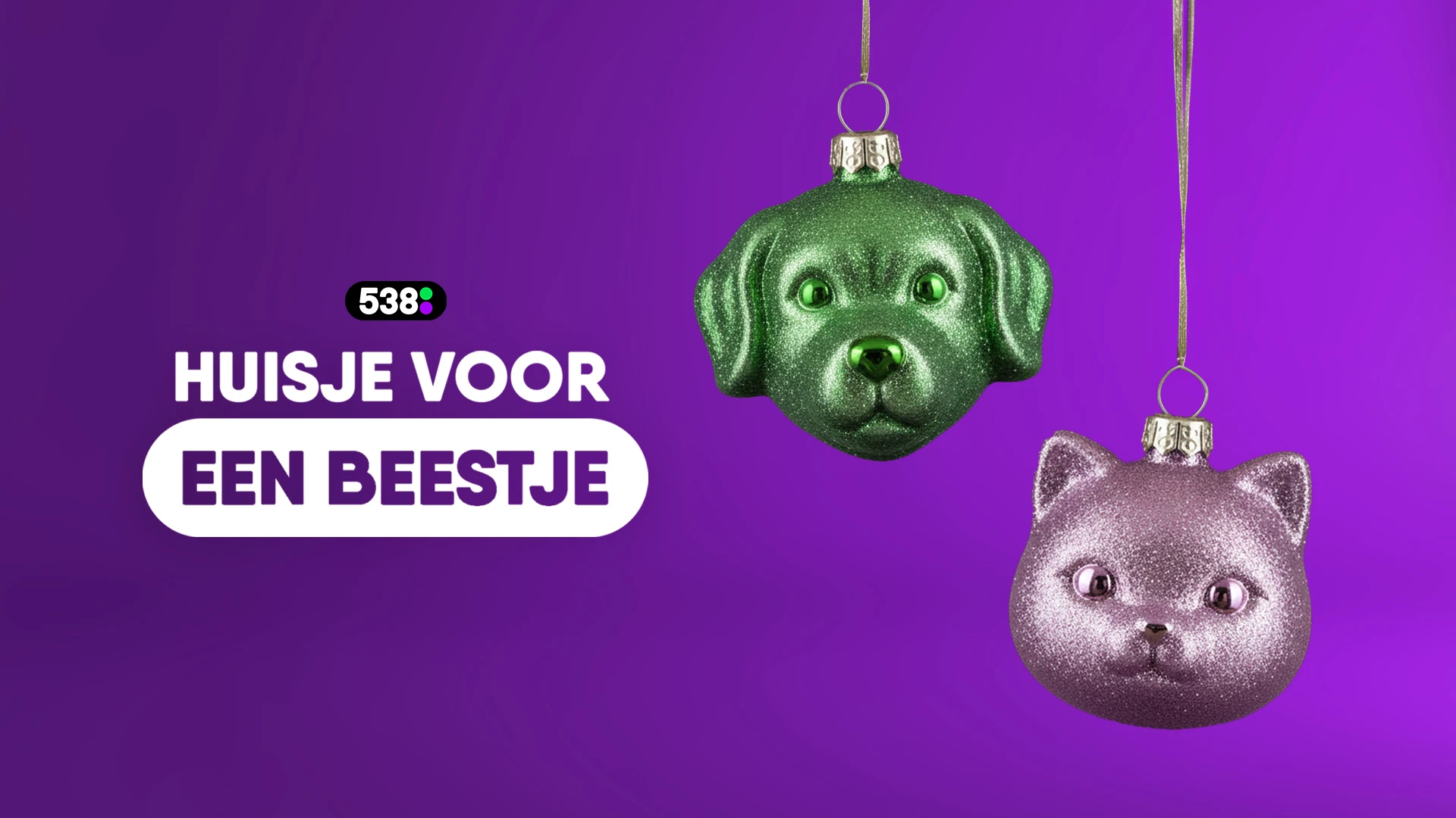 Huisje voor een Beestje: Dit kan jij doen om te helpen! 🐾