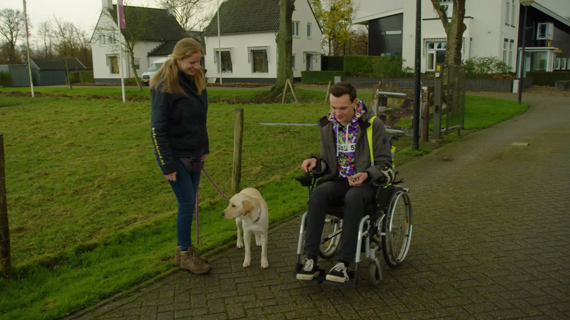 'Er wachten steeds meer mensen op een hulphond'