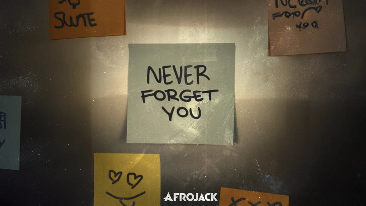 Deze week is AFROJACK de 538 Favourite met Never Forget You! 💓