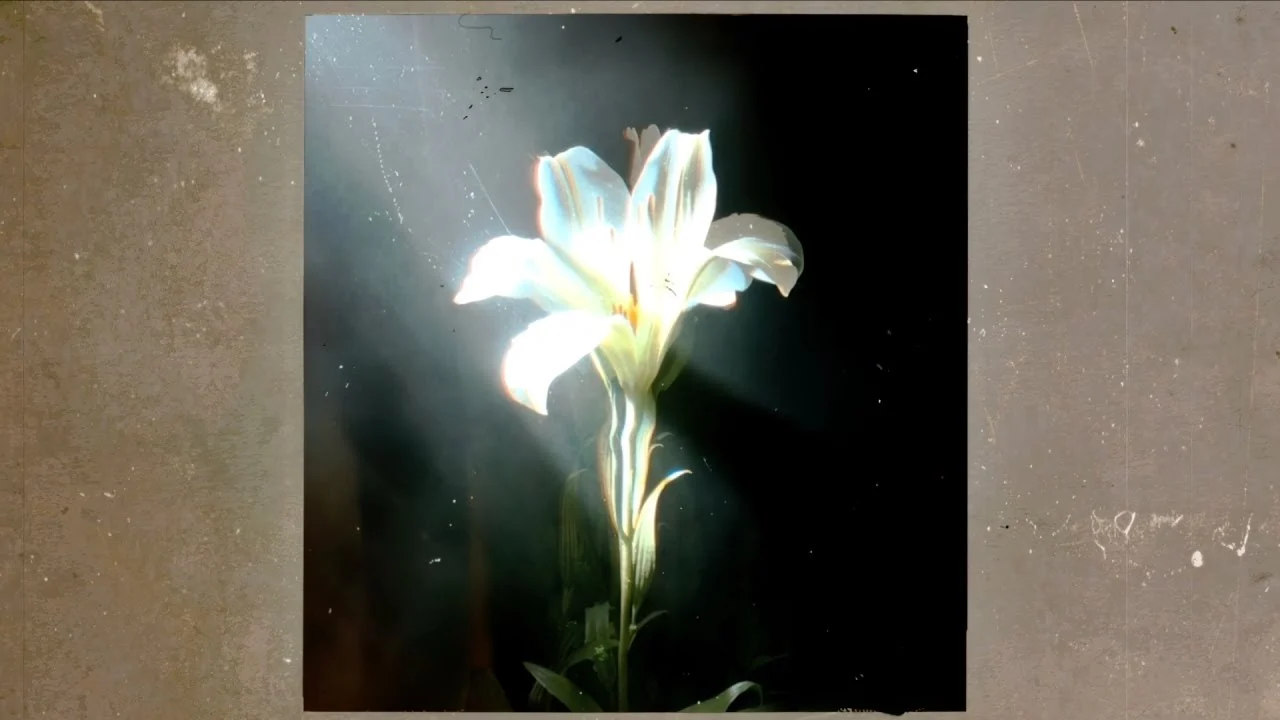 GEMAAKT: Netsky, Bebe Rexha - Light That Leads Me