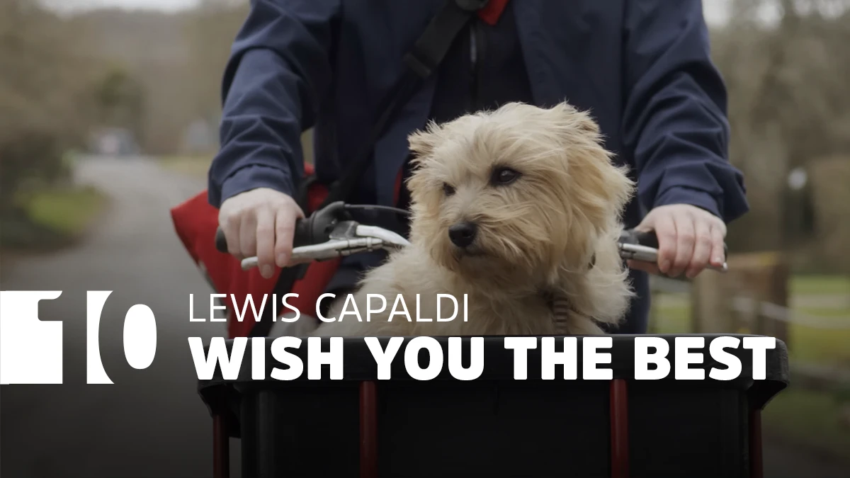 DE 538 TOP 50 VAN WEEK 28 - 2023