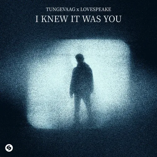 GEMAAKT: Tungevaag & Lovespeake - I Knew It Was You