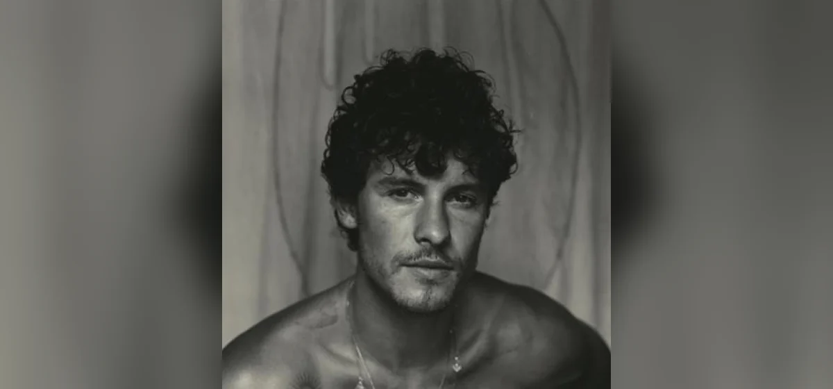 GEMAAKT: Shawn Mendes - Heart of Gold