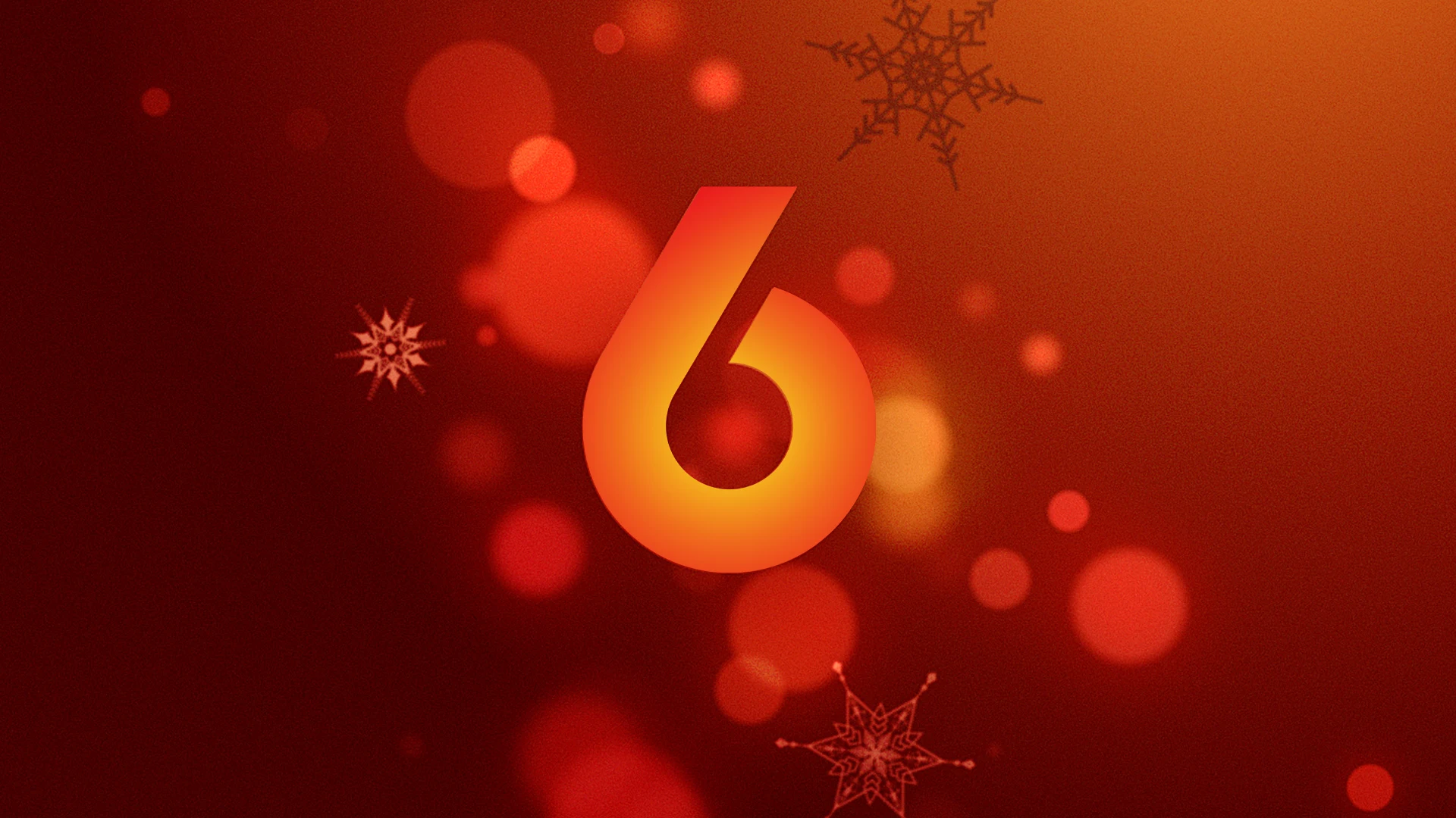 Van de Meilandjes tot De Quiz van het Jaar. Dit is dé decemberprogrammering van SBS6.