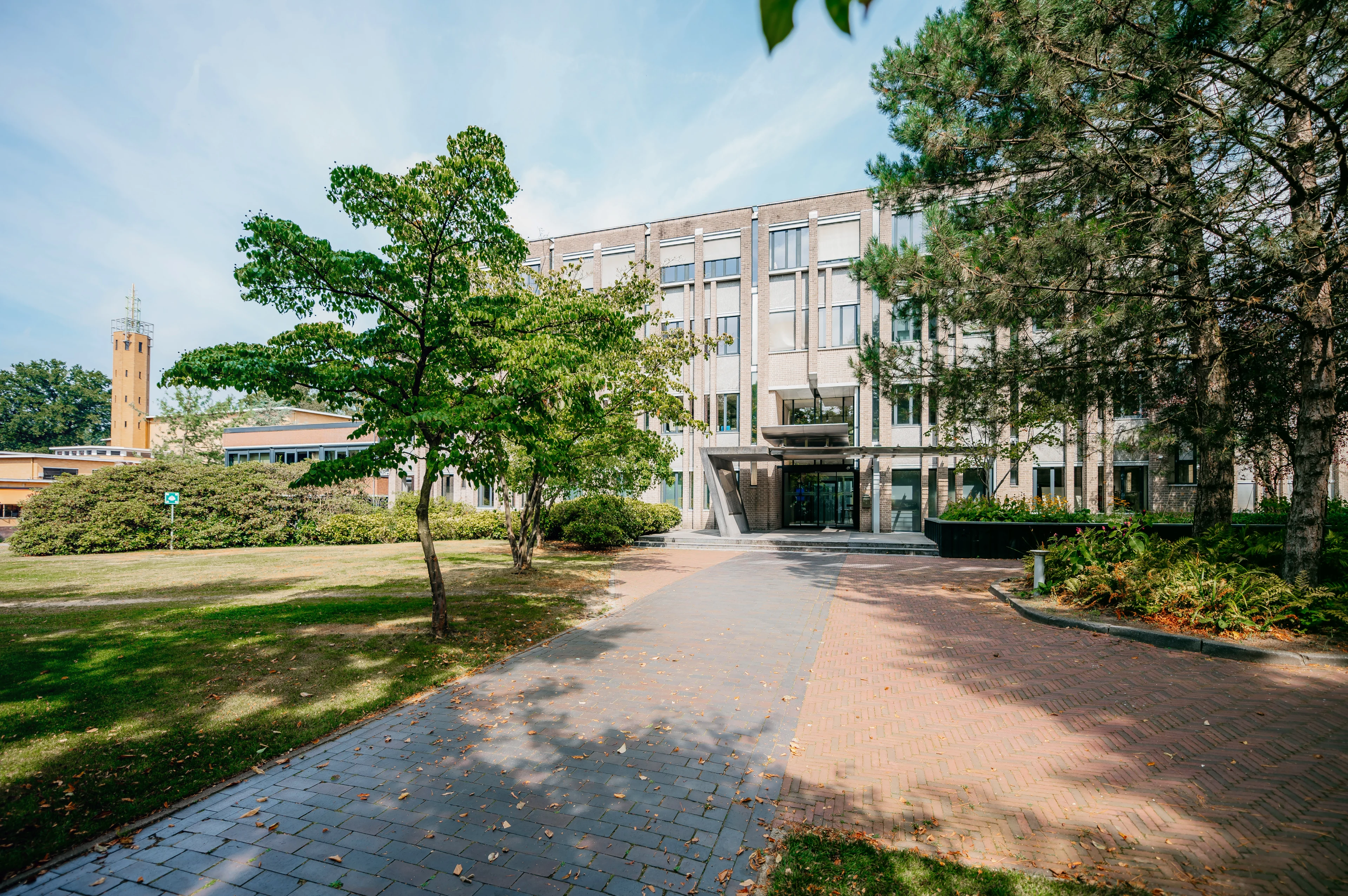 Talpa scherpt strategie aan en verandert topstructuur.