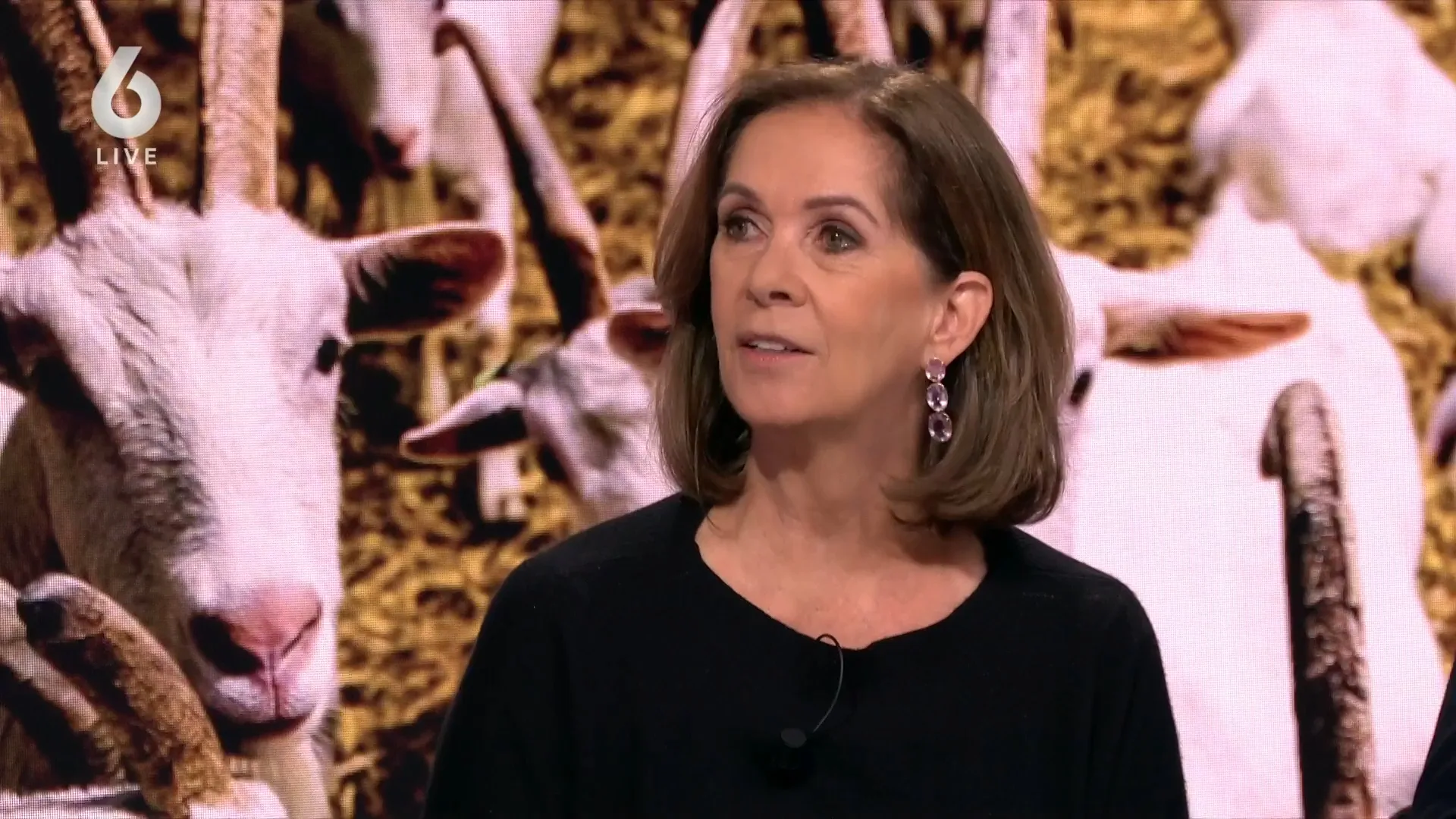 Annemarie van Gaal: 'Landbouwgrond vaker inzetten voor woningbouw'