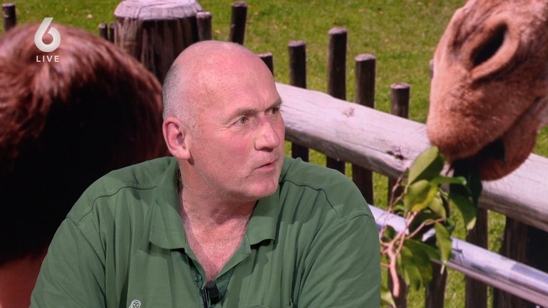 Discussie over dierentuinen: moeten wilde dieren weg?