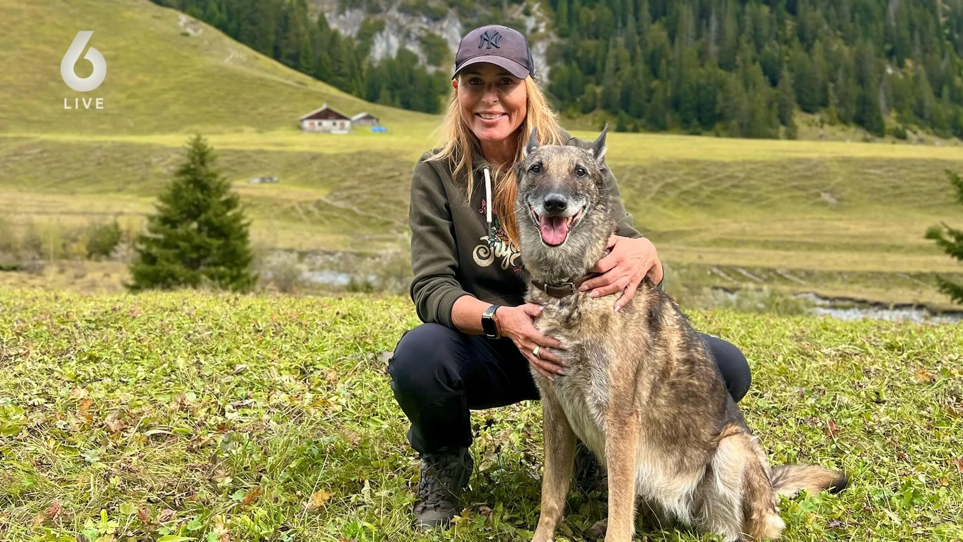 'Verplichte cursus voor hondeneigenaren'