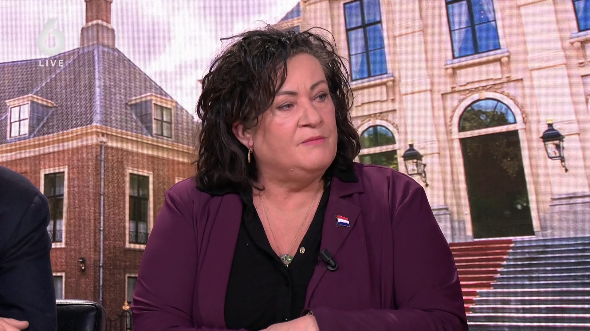 Van der Plas schrikt van landbouw ministerspost voor D66