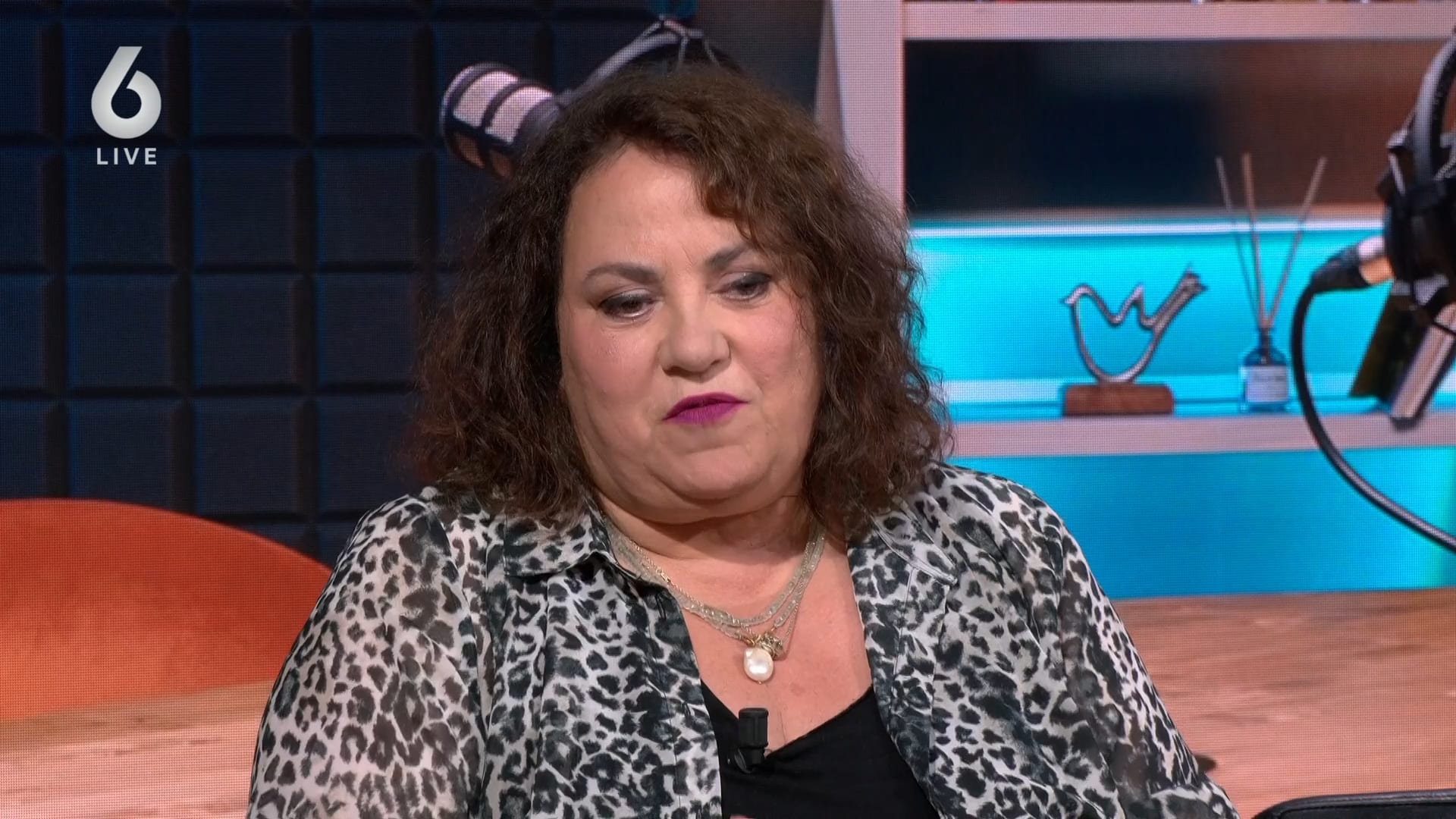 'Als humor uit angst verdwijnt, komt onze democratie in gevaar'