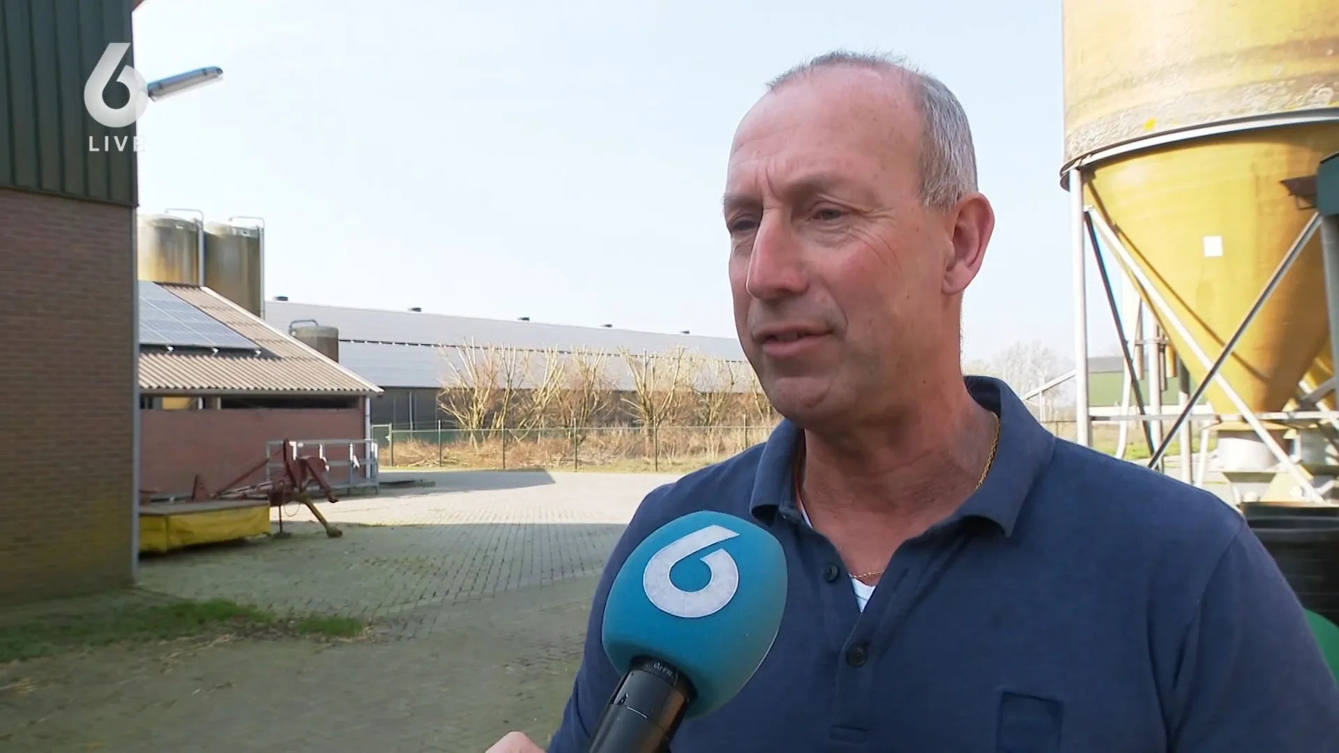 Zorgen over gevaccineerde kippen: zijn hun eieren wel veilig?