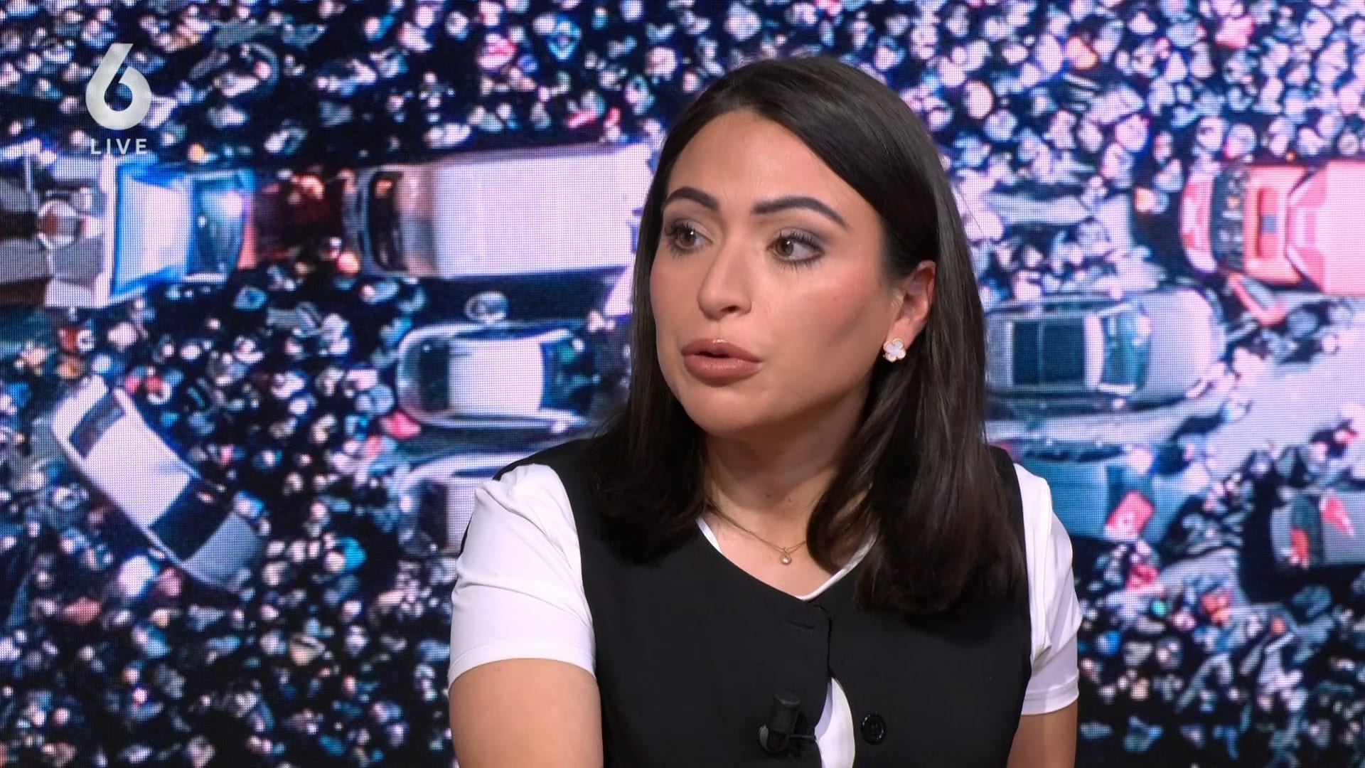 'Turkse Nederlanders die Erdogan steunen moeten terug naar Turkije'