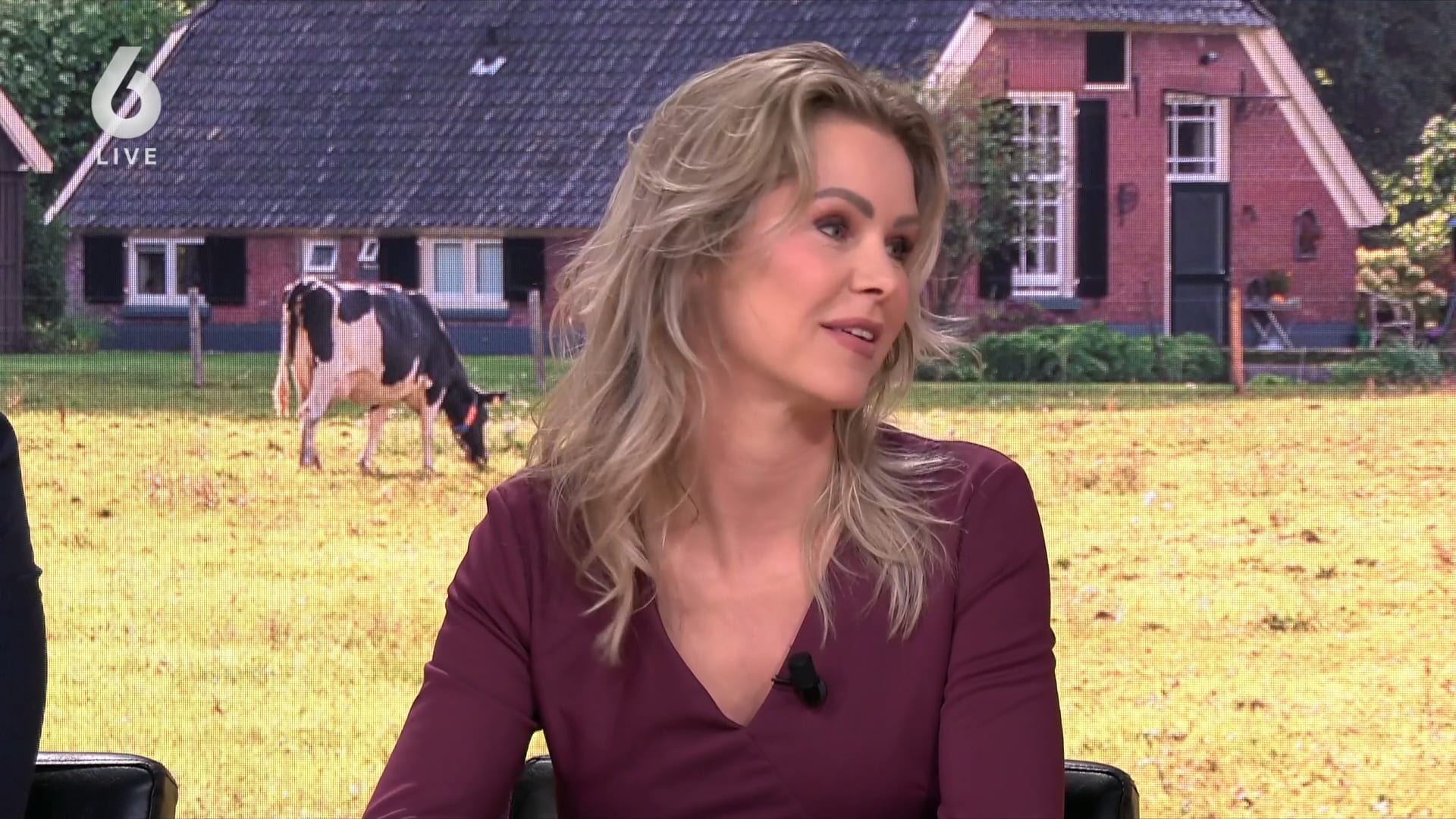 Ze zou de toekomst van de boeren redden, maar het liep anders af voor Wiersma