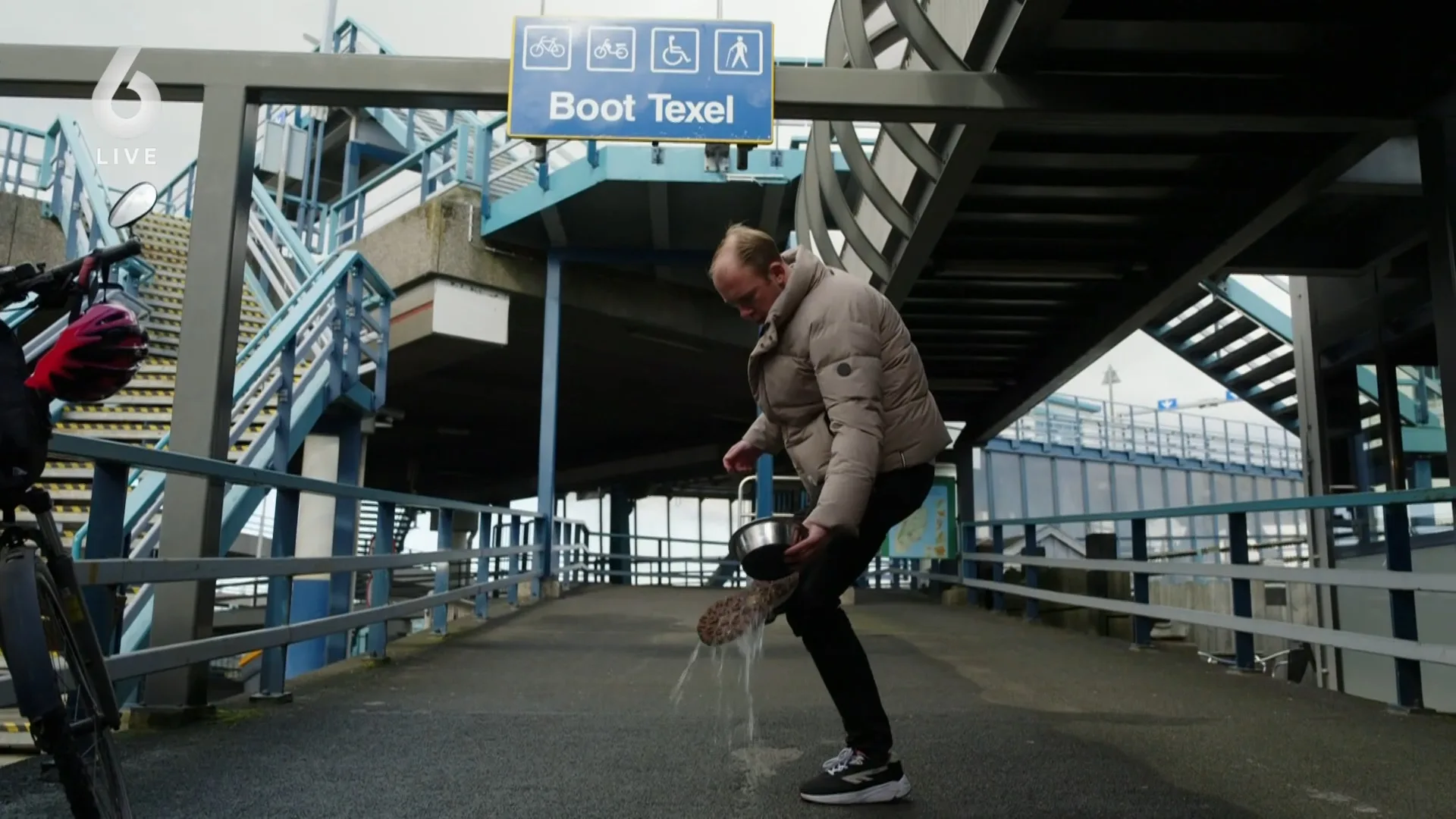 ‘Te veel invasieve exoten op de Waddeneilanden’