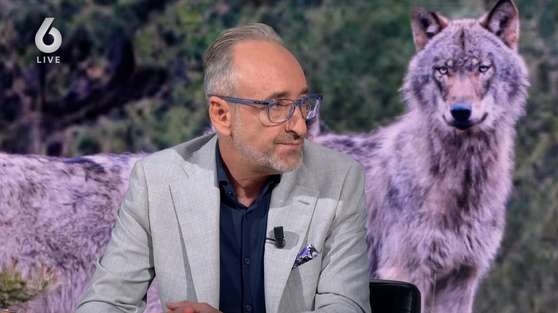 Jongetje (6) gebeten door wolf: 'Nu is het genoeg'